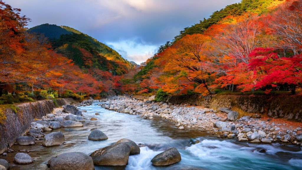 日本庭園に使われる植物