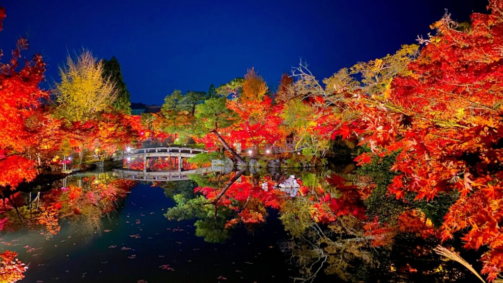 旧古河庭園の紅葉をより楽しむための情報