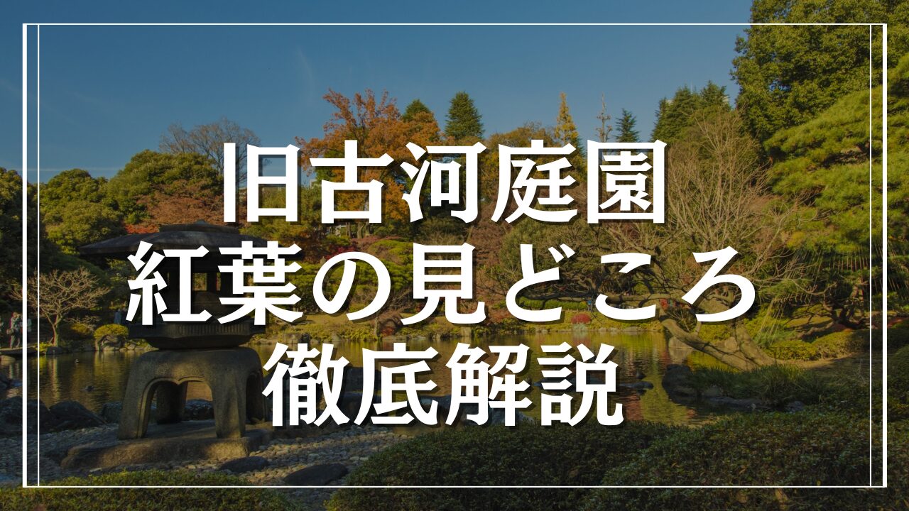 旧古河庭園の紅葉の見どころを徹底解説｜洋風と和風が織りなす絶景