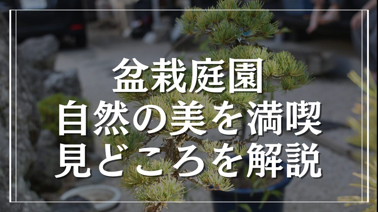 盆栽庭園で自然の美を満喫！見どころとアクセスガイドを初心者向けに解説